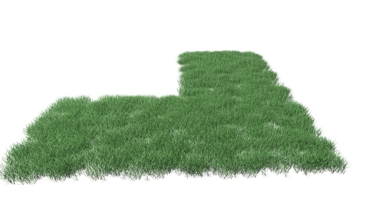 Media 1 for listing Realistic Lawn Grass Patch