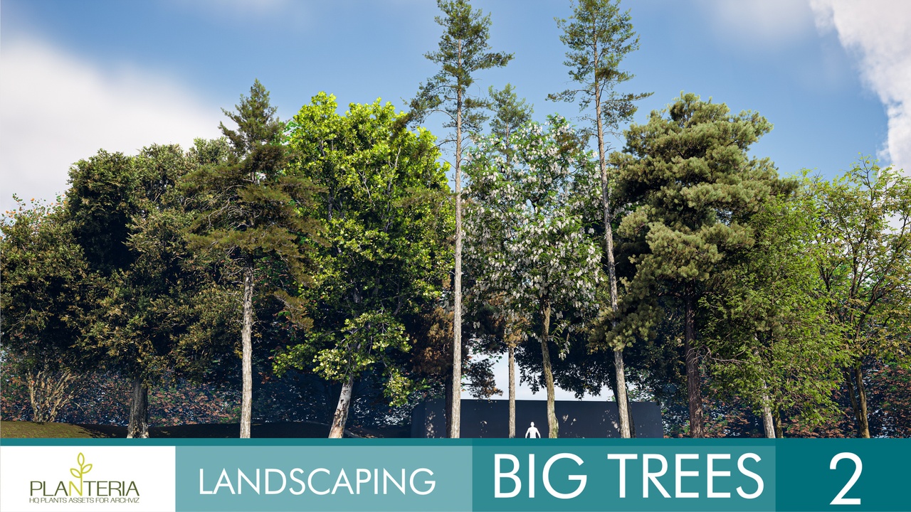 出品Landscaping Big Trees 2のメディア1