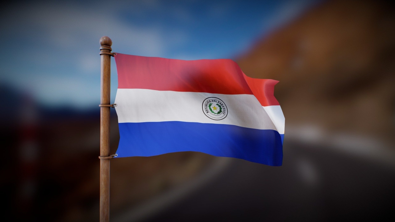 Media 1 for listing Flag of Paraguay - Wind Animated loop