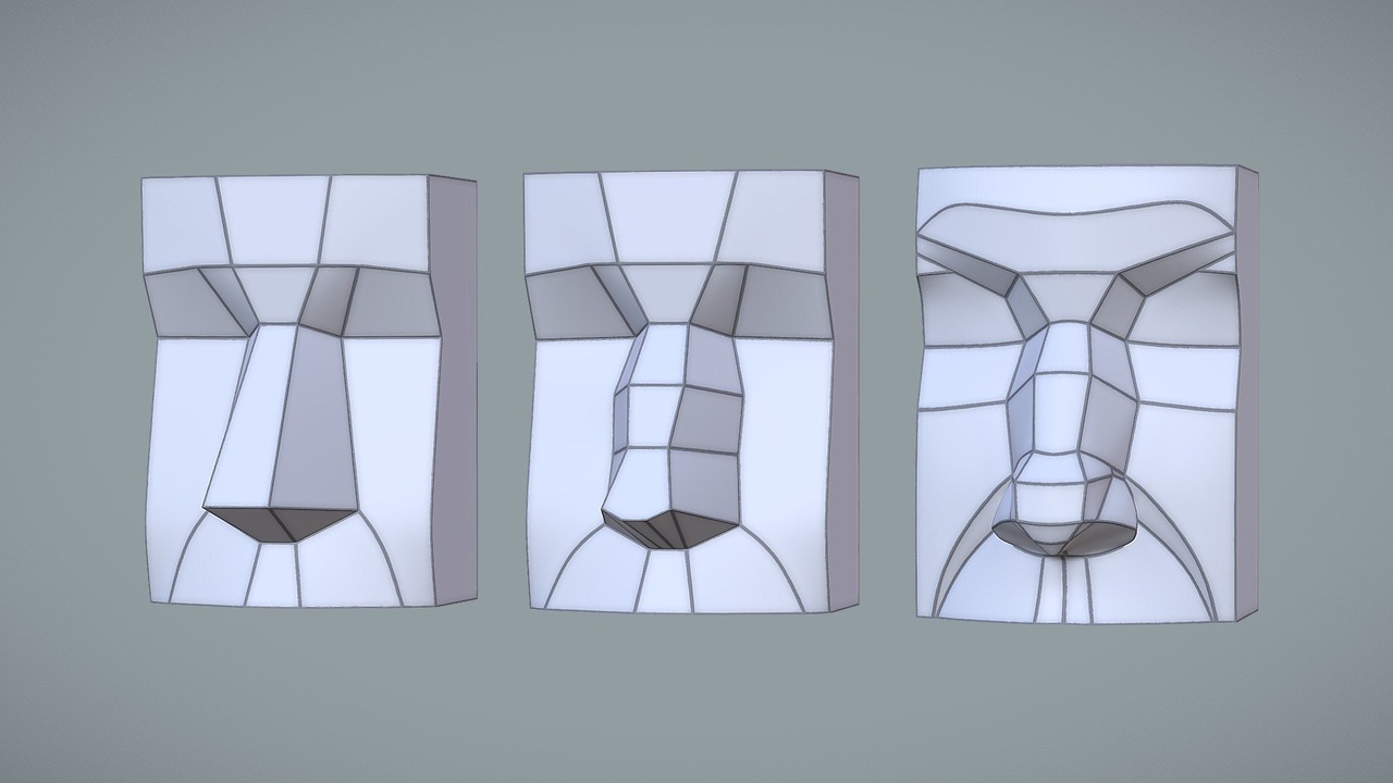 Media 1 for listing Basic Nose Structure and Planes
