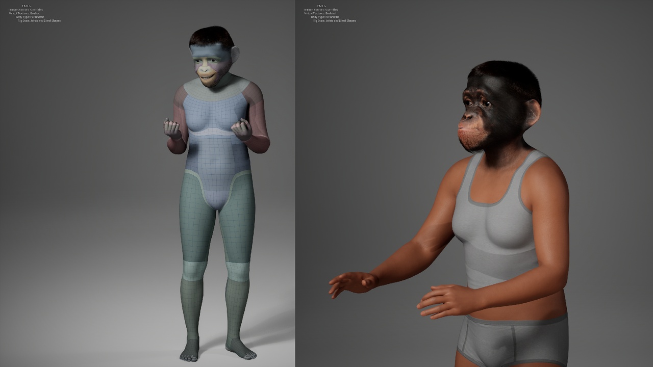 Media 1 for listing MetaHuman Chimpanzee