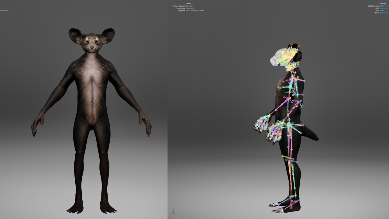 Media 1 for listing Metahuman Aye Aye Animal Character