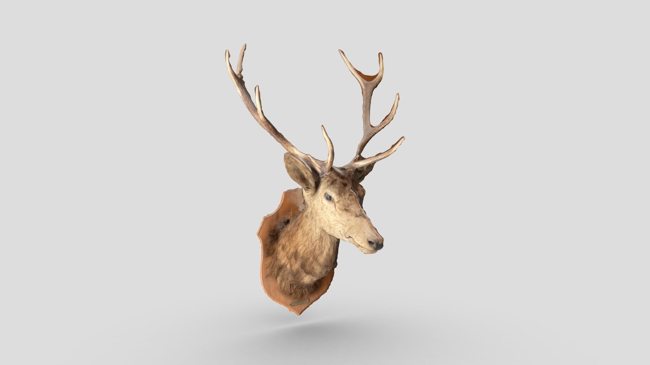 Media 1 for listing Deer from passage du Grand Cerf