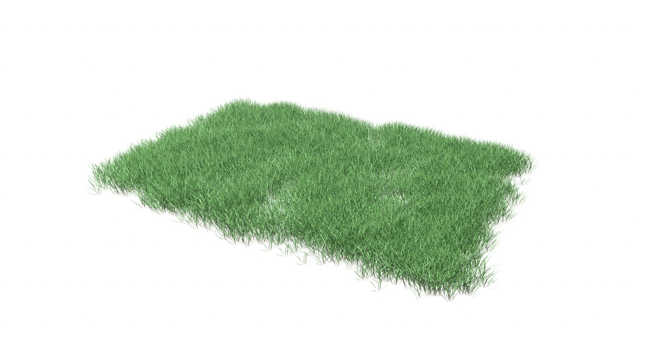 Media 1 for listing Lawn Grass Model for Exteriors
