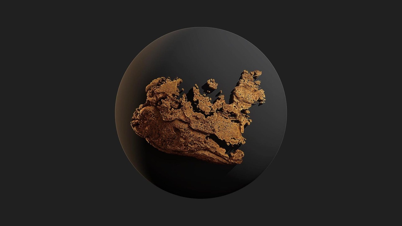 Media 1 for listing Coast African Decal Lichen