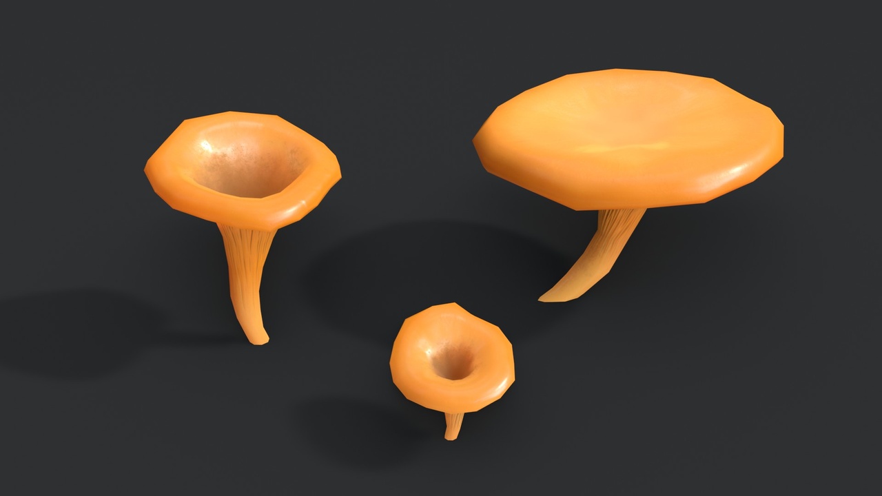 Media 1 for listing Jack-O-Lantern Mushrooms Set