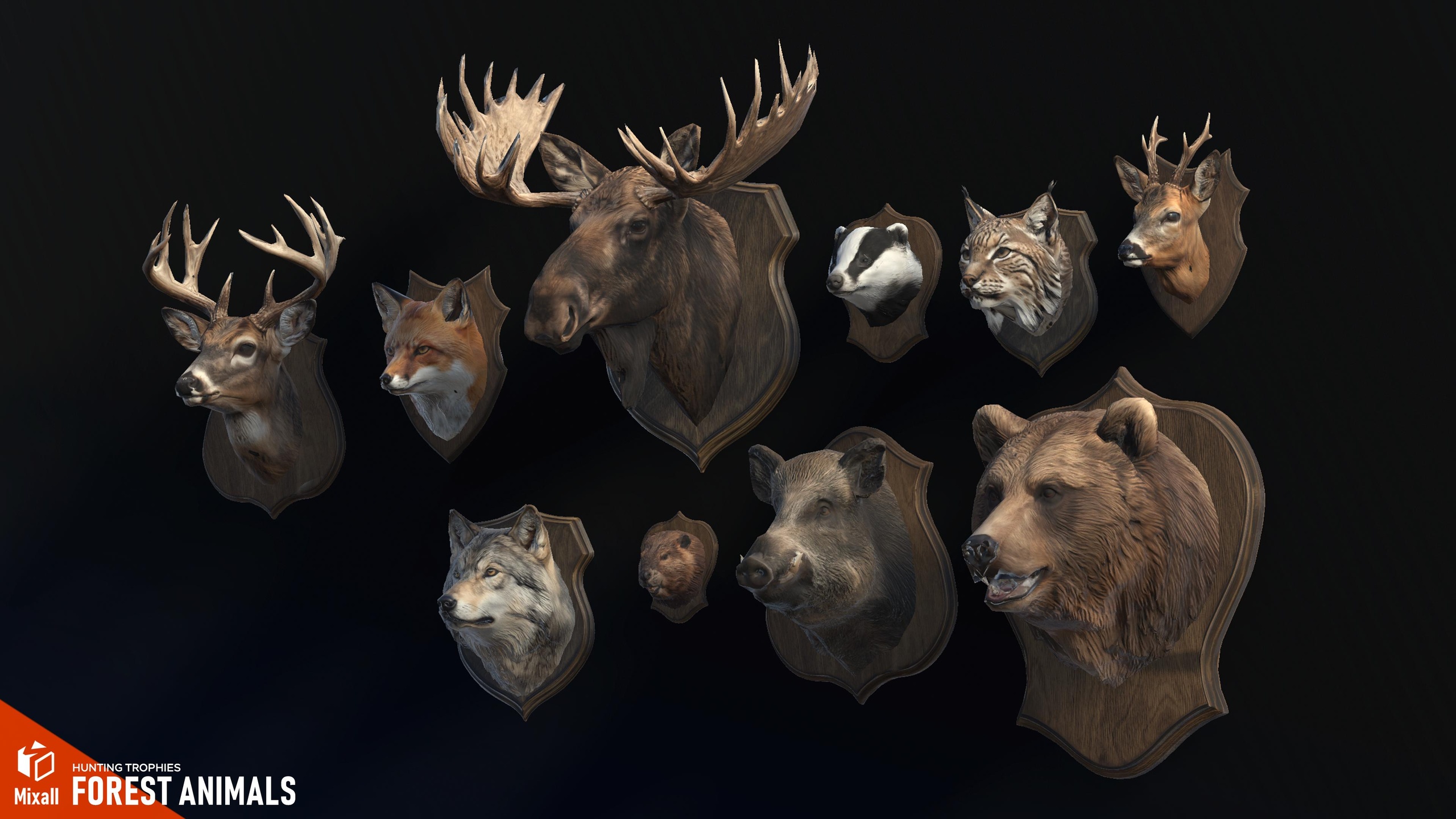 Media 1 for listing Forest animals – Hunting trophies