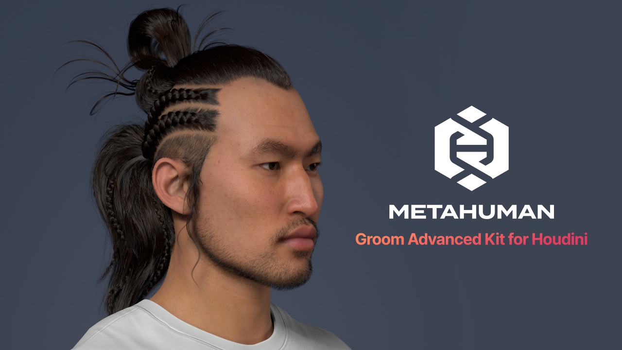 出品MetaHuman Groom Advanced Kit for Houdiniのメディア1