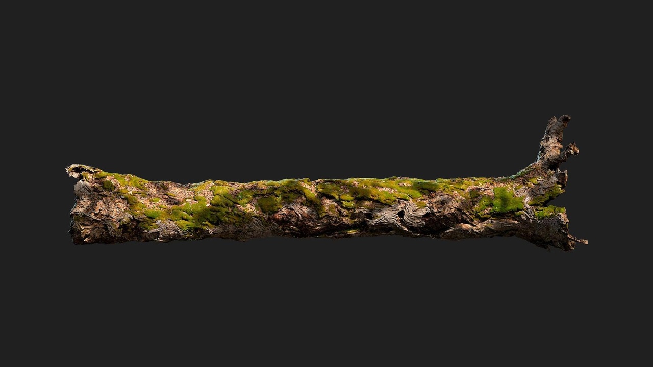 出品Mossy Treeのメディア1