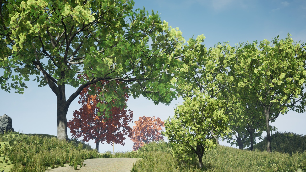 Media 1 for listing Tree Pack (Assorted Maple Trees)