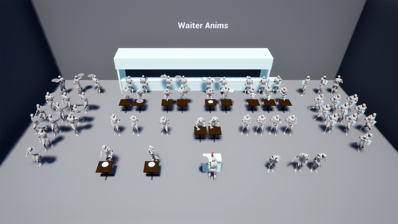 Media 1 for listing Waiter Anims