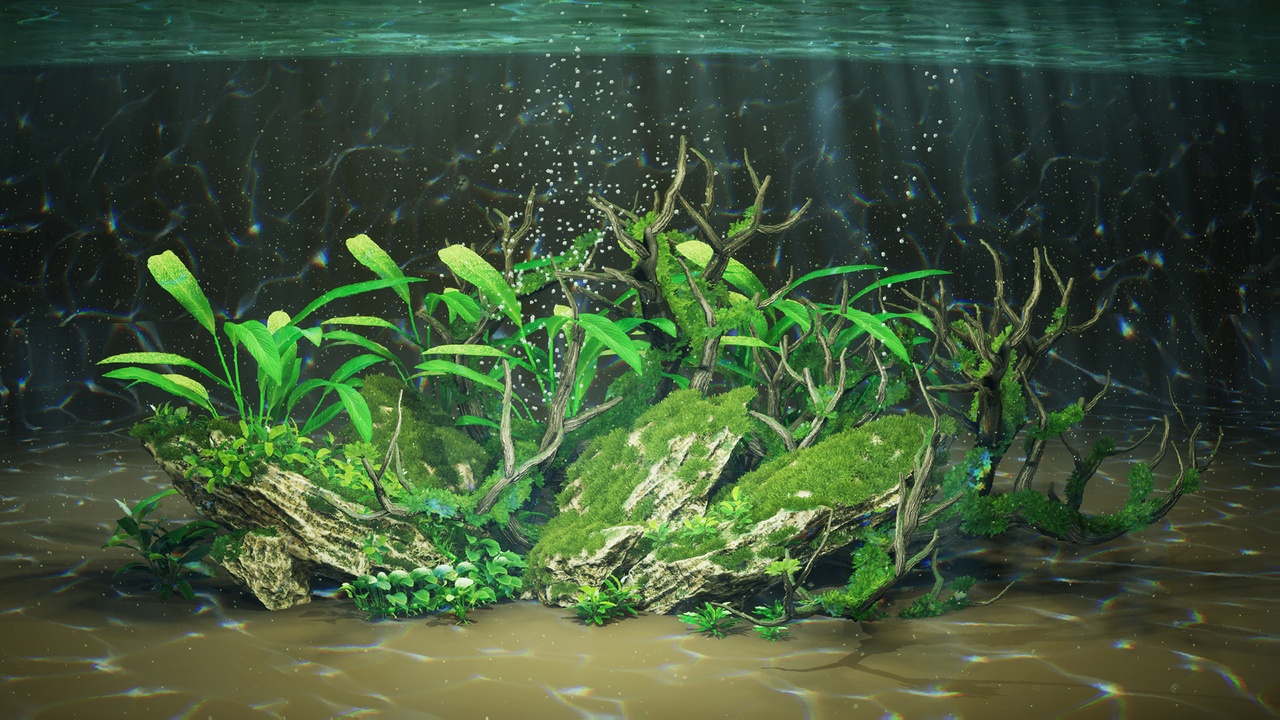 Média 1 pour l'article Aquascape "Stone Island"