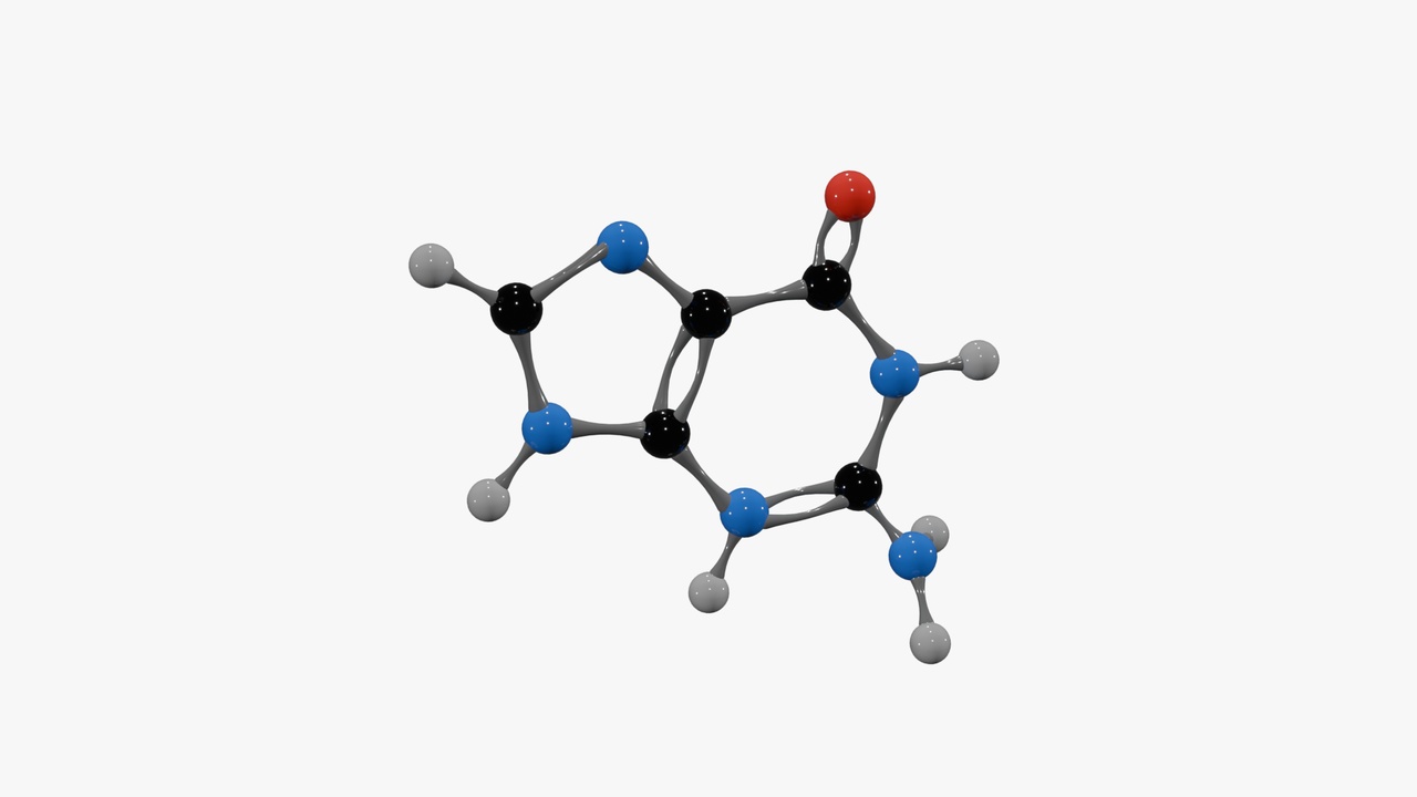 Media 1 for listing Guanine Molecule