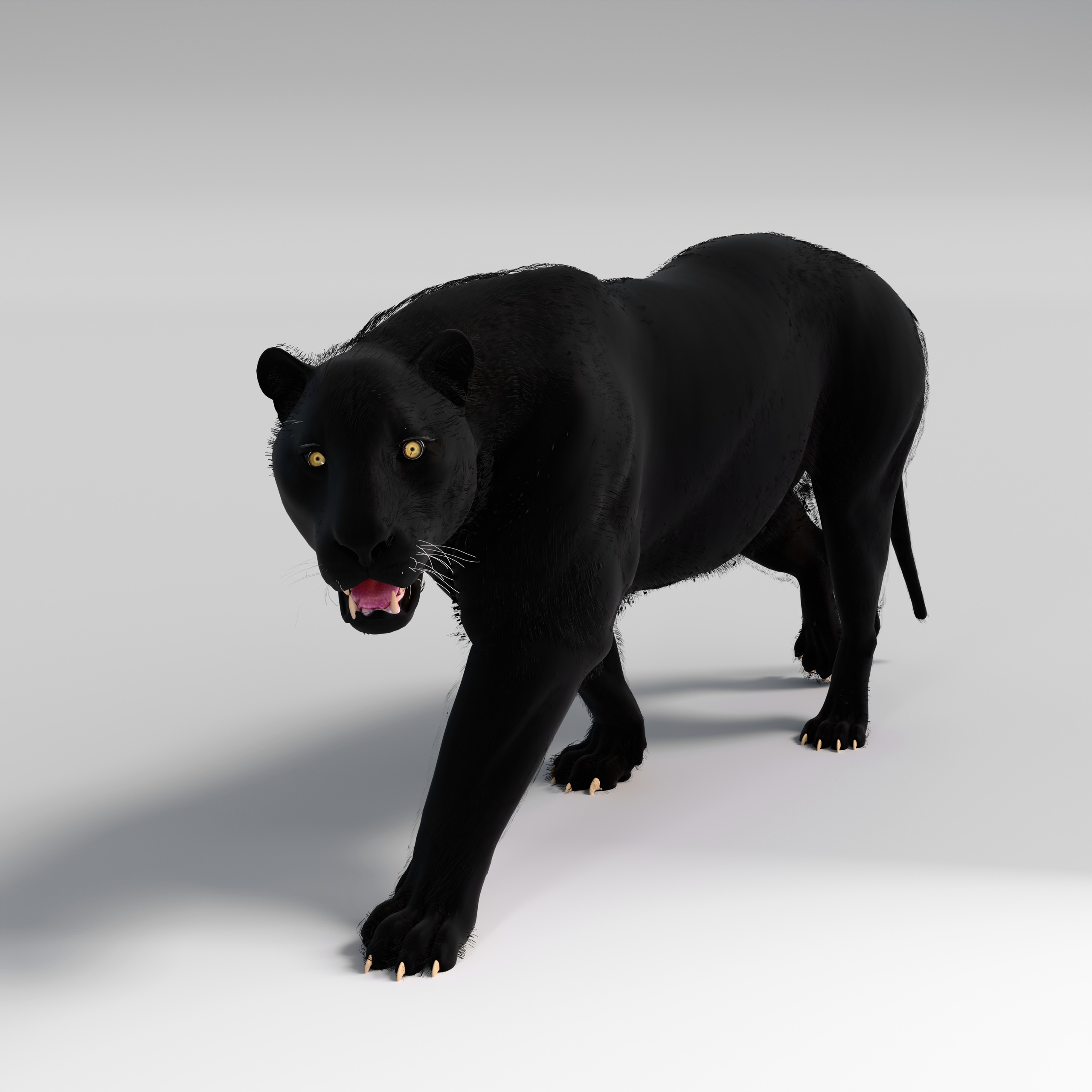 Media 1 for listing Black Panther