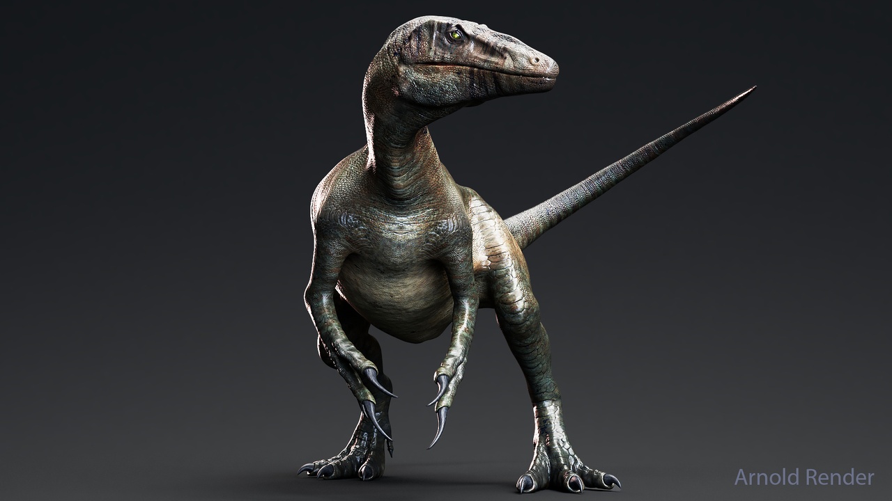 Media 1 for listing Dinosaur Raptor - MegaRaptor