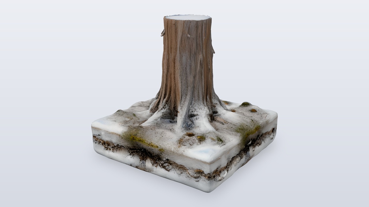 Media 1 for listing Pine Tree Trunk with Snowy Ground Base
