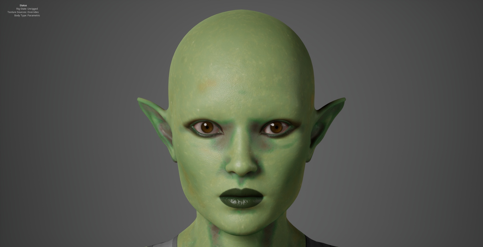File multimediali per l'articolo Goblin-Lady | Metahuman Editable Character: 1