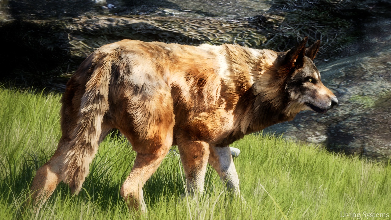 Media 1 for listing Attack Animal: Wolf