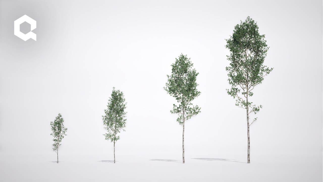 Media 1 for listing Megaplants: European Aspen