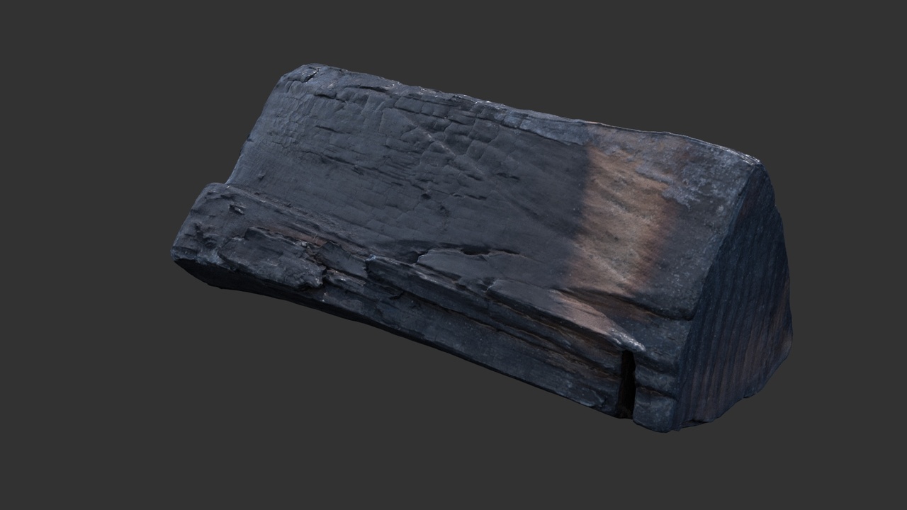 Media 1 for listing Burnt Log