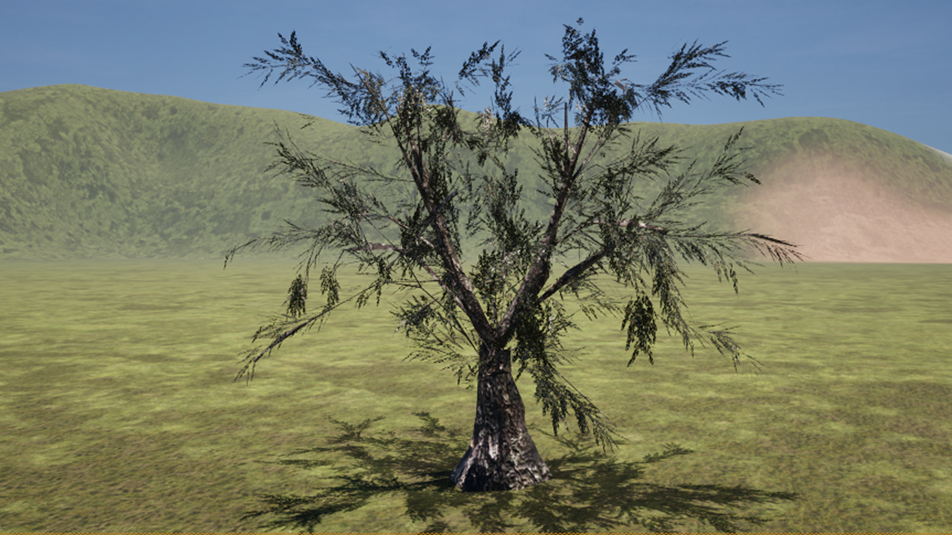 Olive Tree for Italian Panorama | Fab