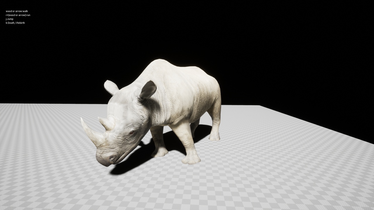 Media 1 for listing Black Rhinoceros