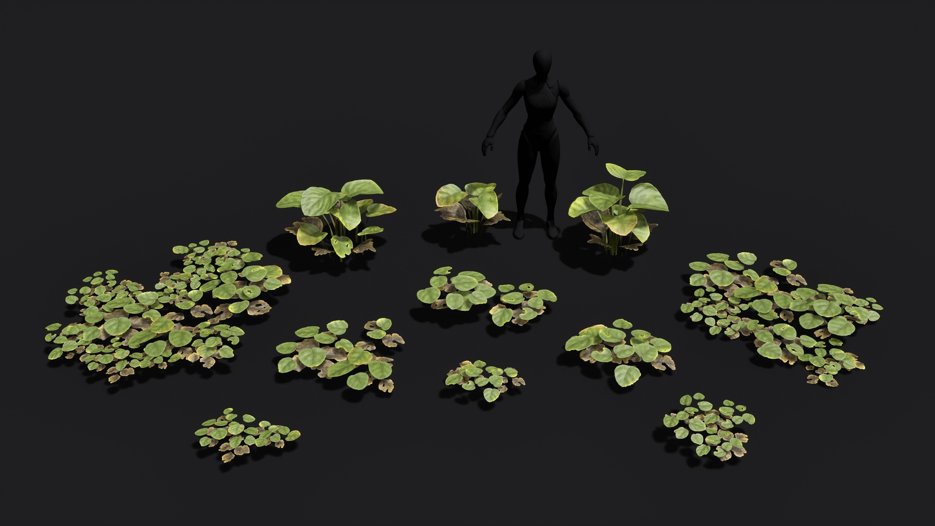 Media 1 for listing Ground cover plants low poly and game ready