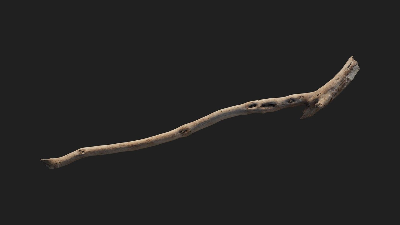 Media 1 for listing Coast African Debris Driftwood S 07