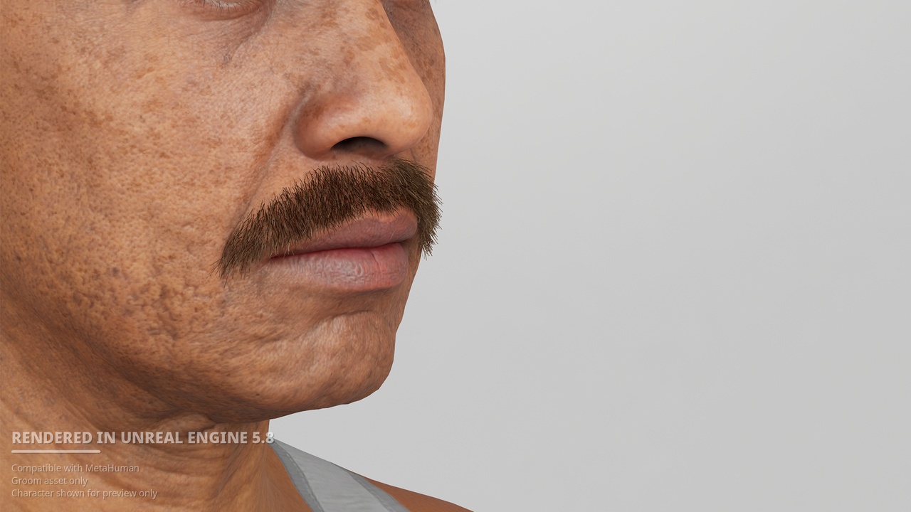 Media 1 for listing Extended Chevron Mustache Groom for MetaHuman
