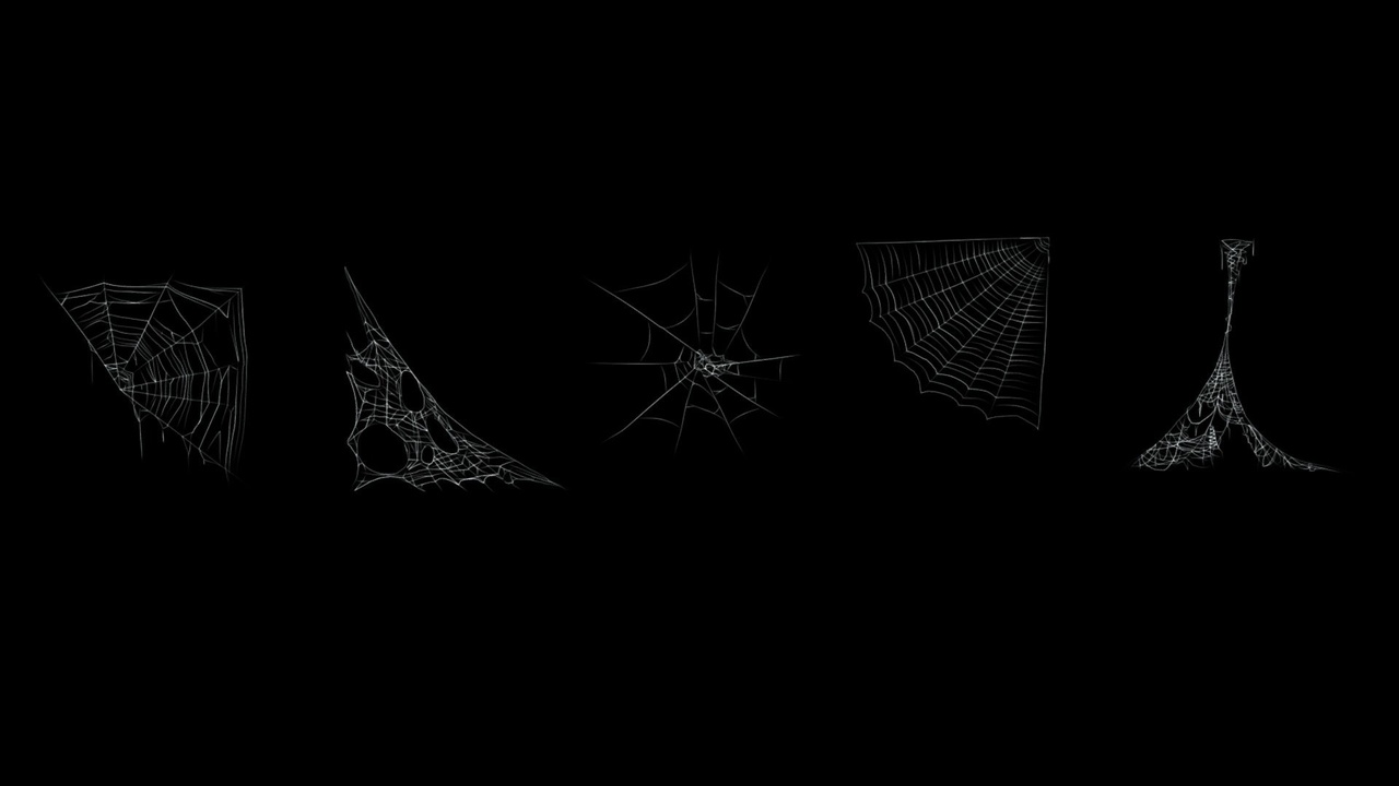 Media 1 for listing Spider web