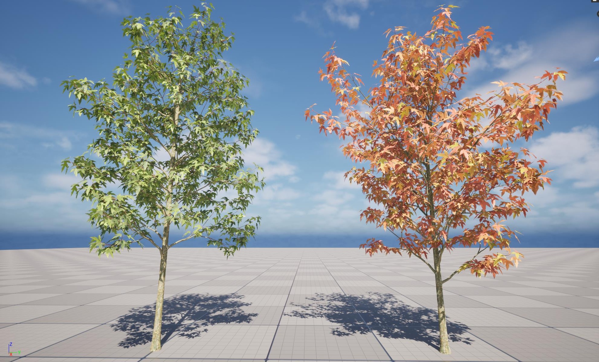 Free Nanite Tree -  Acer buergerianum – Trident maple ilanı için 1. medya