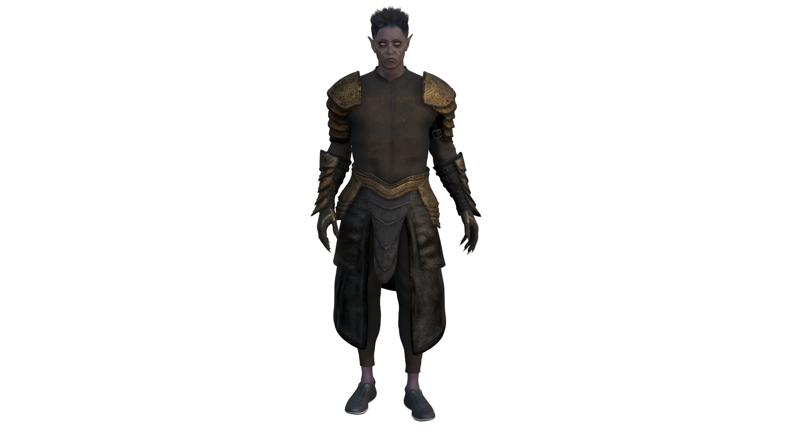 Media 1 for listing Elven Warrior with Leather Armor