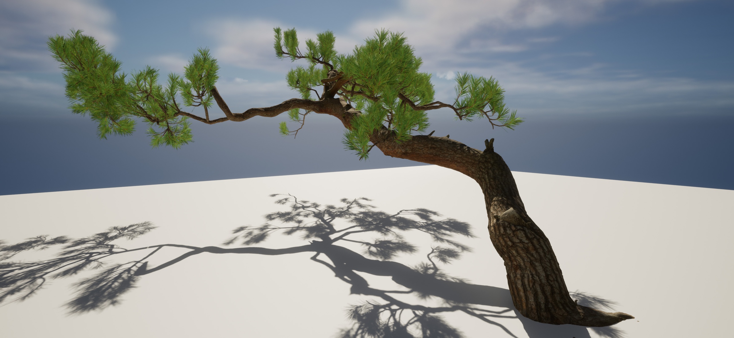 Media 1 for listing Nanite Pine Tree 14