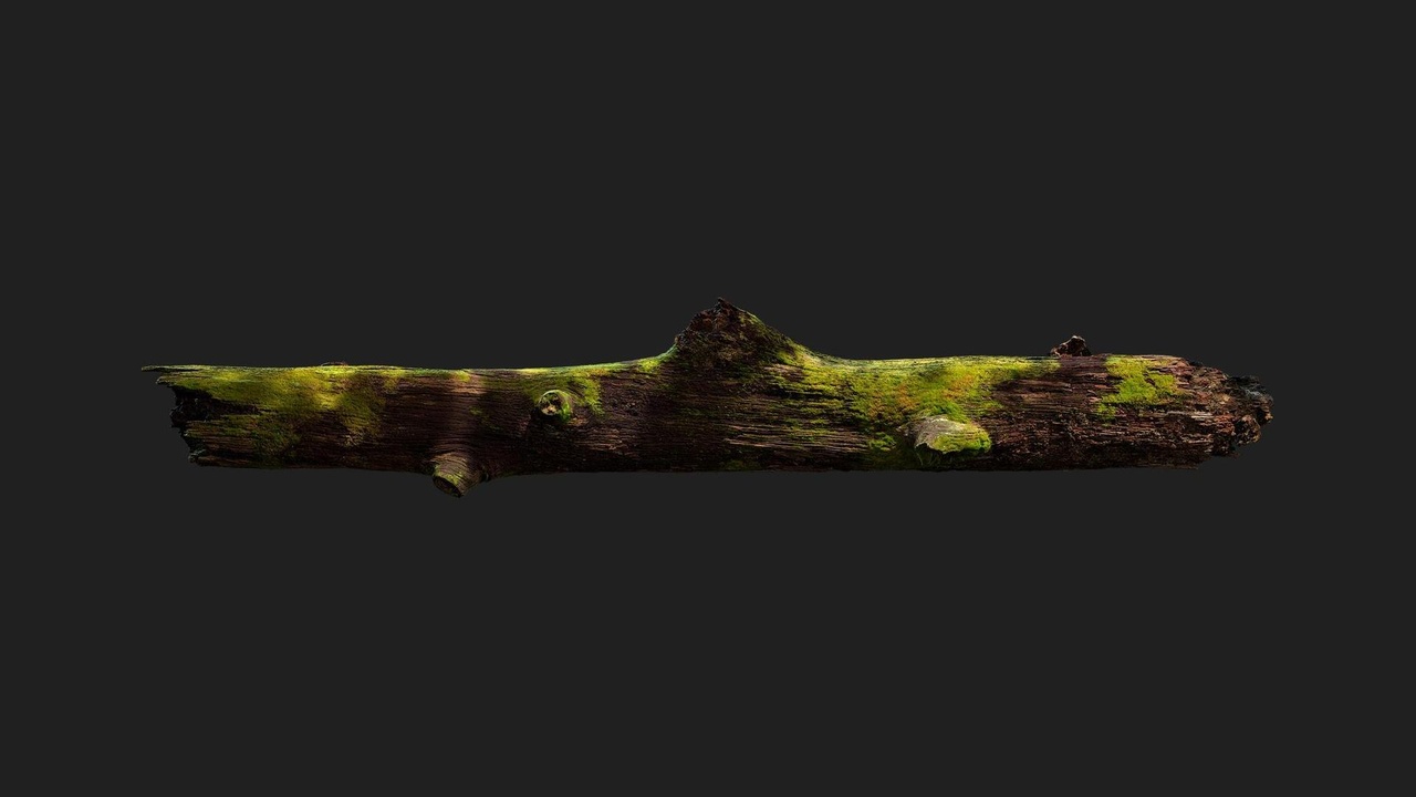 Media 1 for listing Mossy Tree Log