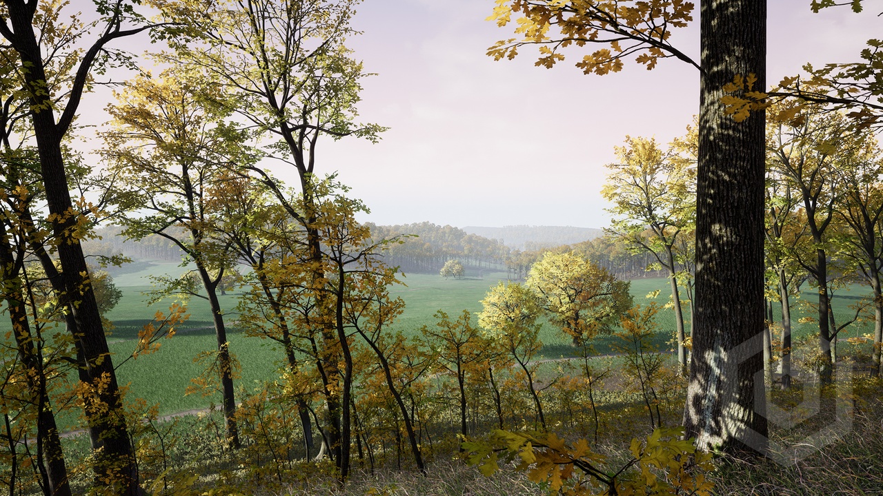 Media 1 for listing Trees: Oak Tree