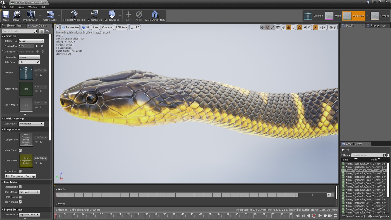 Media 1 for listing Tiger Snake