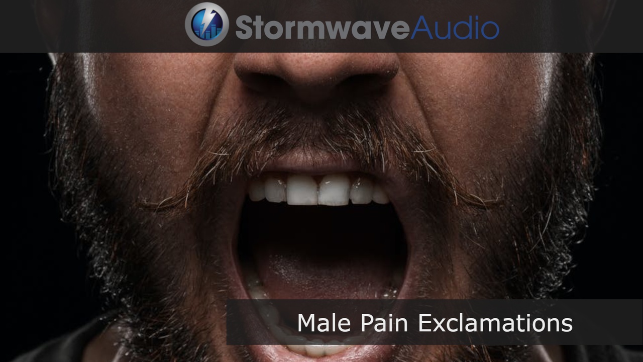 Media 1 for listing Male Pain Exclamations Vol. I