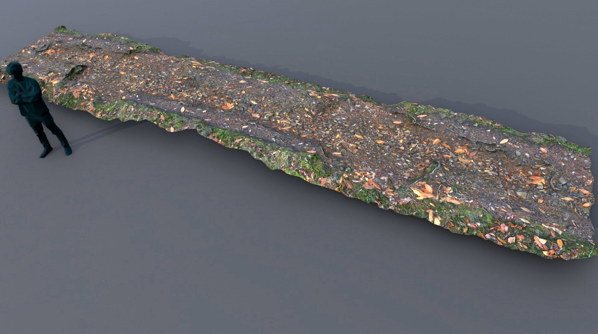 Multimedia 1 para anuncio rocky forest path
