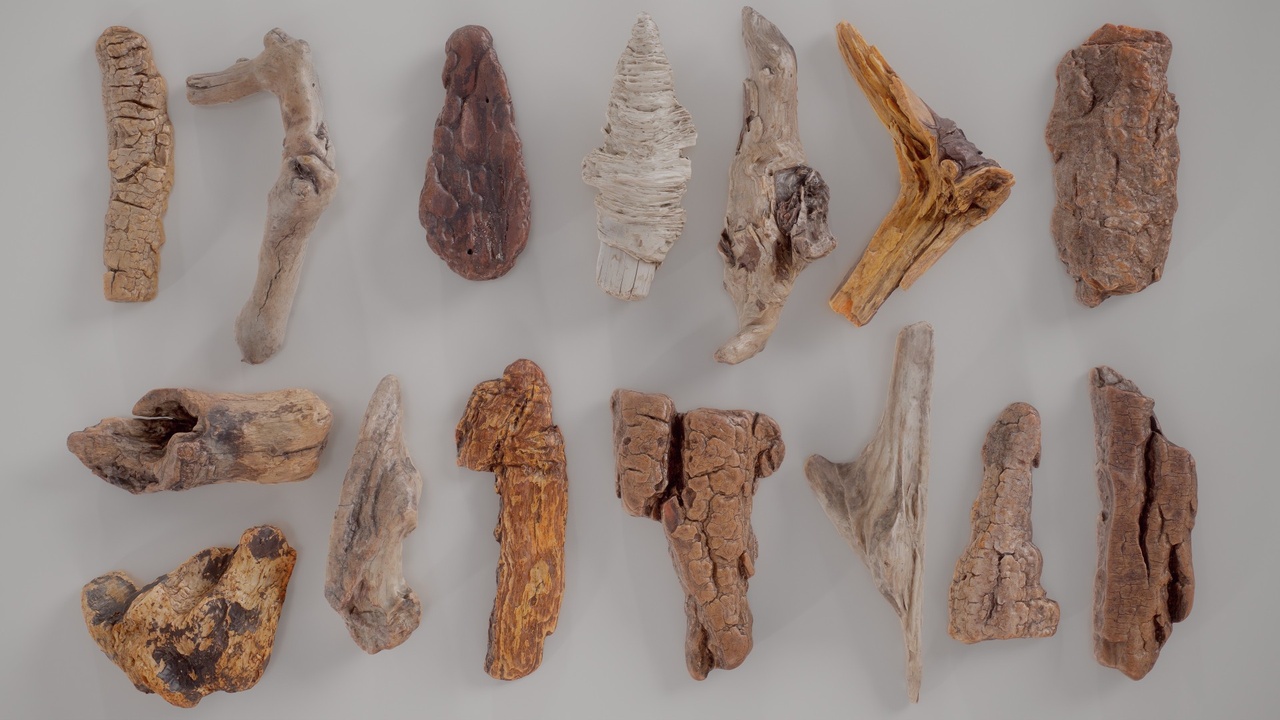 Media 1 for listing 15 3D Scanned Wood Small Collection
