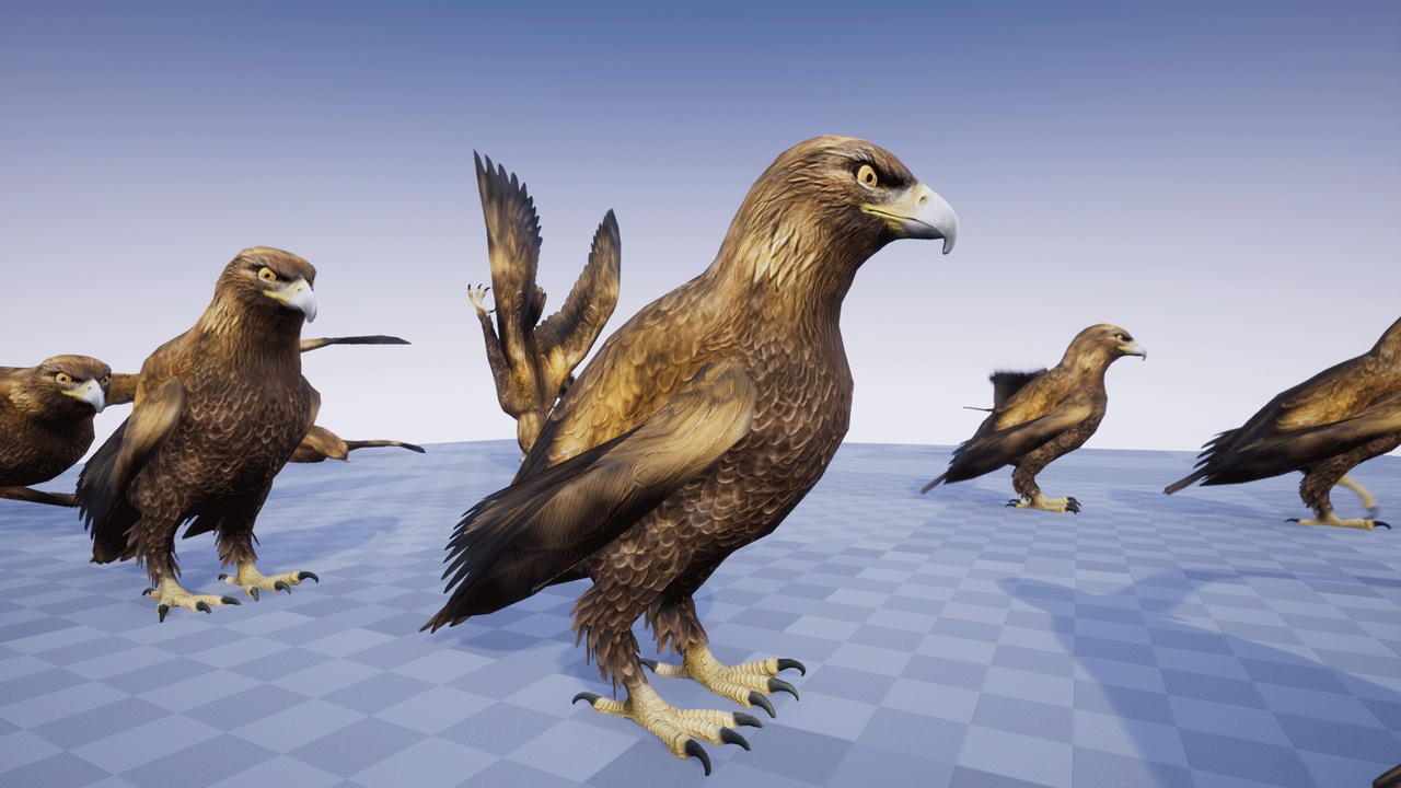 Media 1 for listing GOLDEN EAGLE