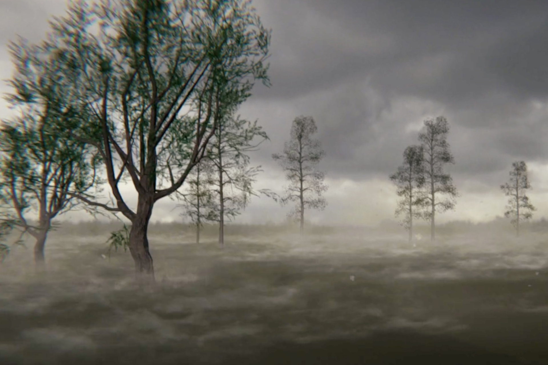 Media 1 for listing Hurricane Weather VFX