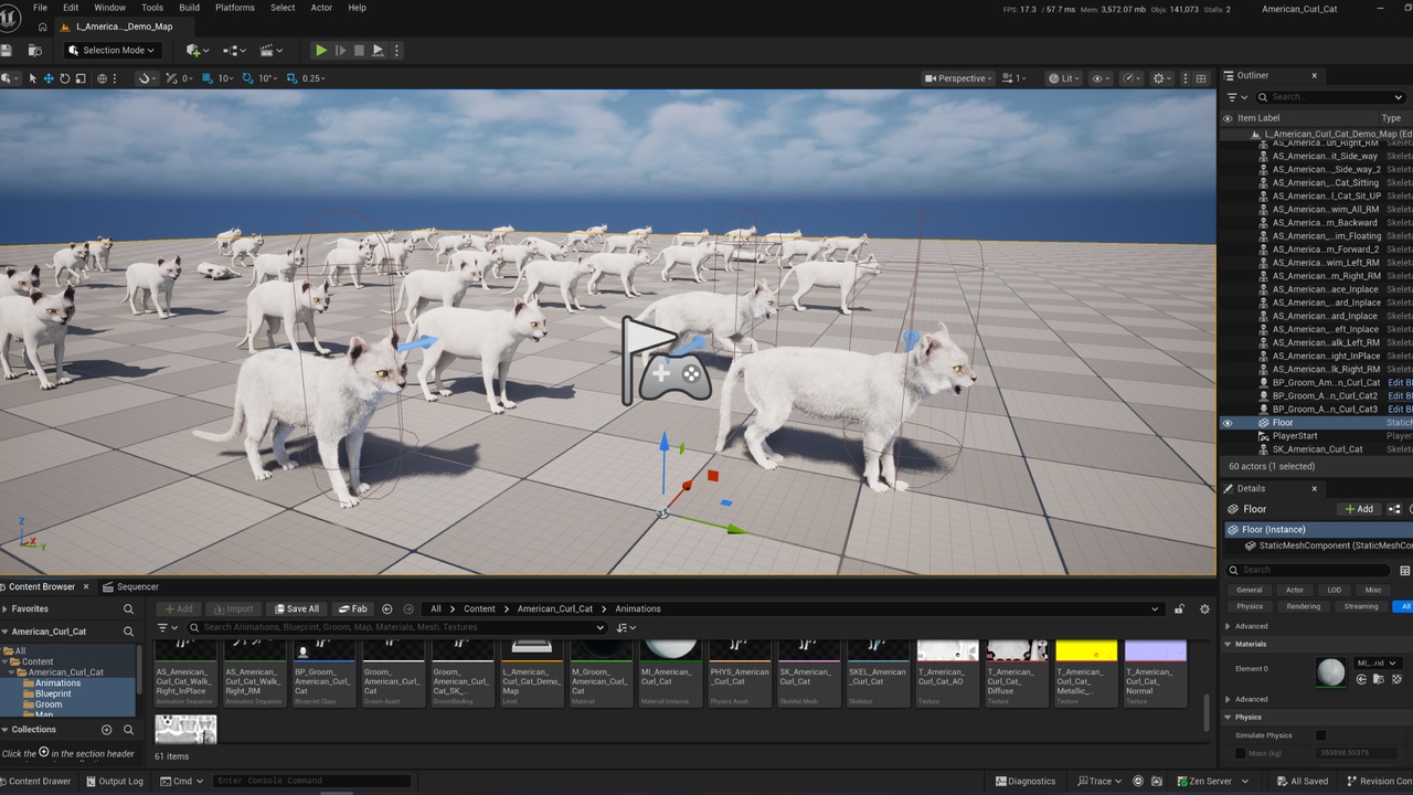 Media 1 for listing American Curl Cat (Game Ready)