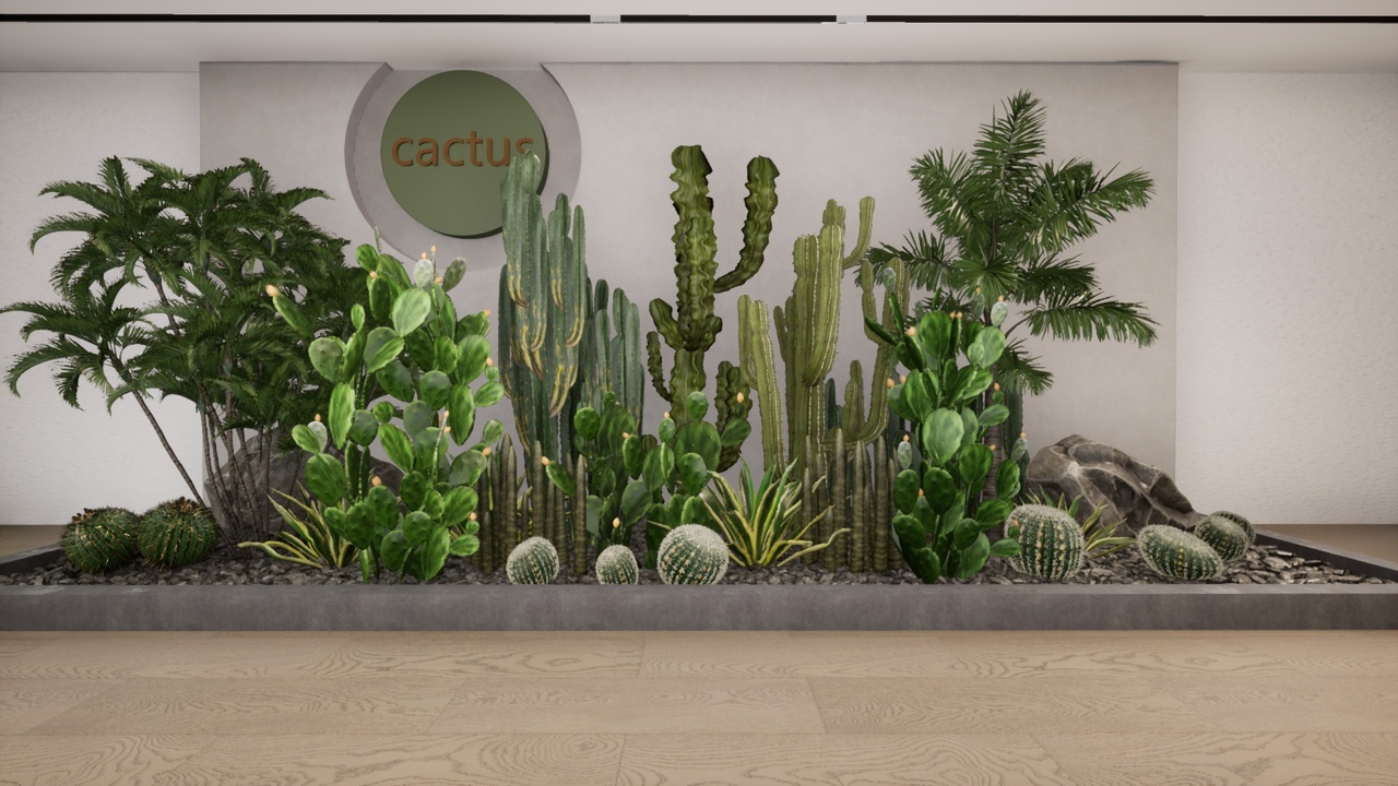 出品Cactus Vol 1のメディア1