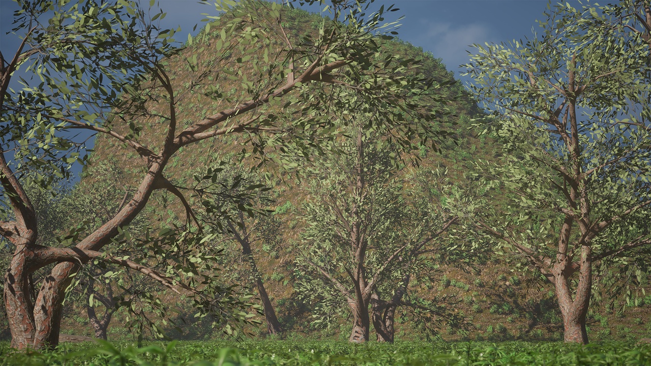 Media 1 for listing Realistic Low Poly Tree Bundle 10