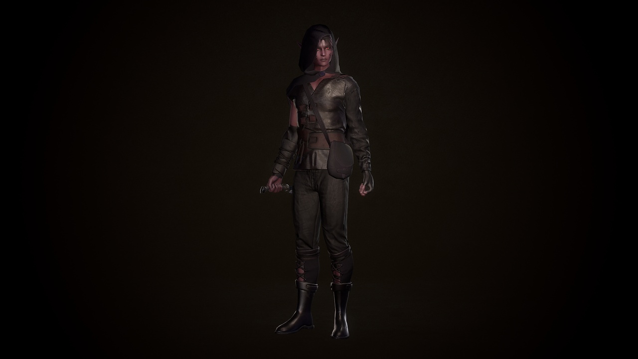Media 1 for listing Rogue Azarain