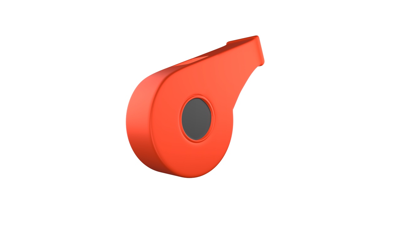 Media 1 for listing Whistle