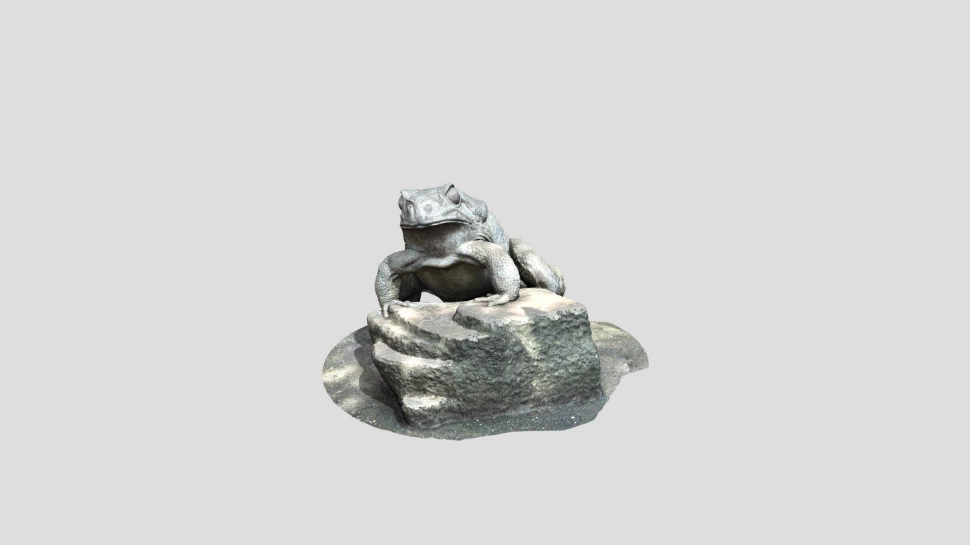 Wise Frog | Fab