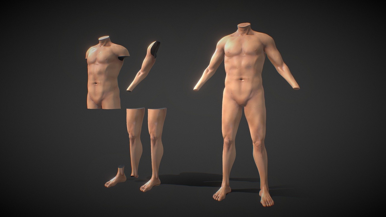 Media 1 for listing Fit Male Anatomy - Body parts base mesh pack