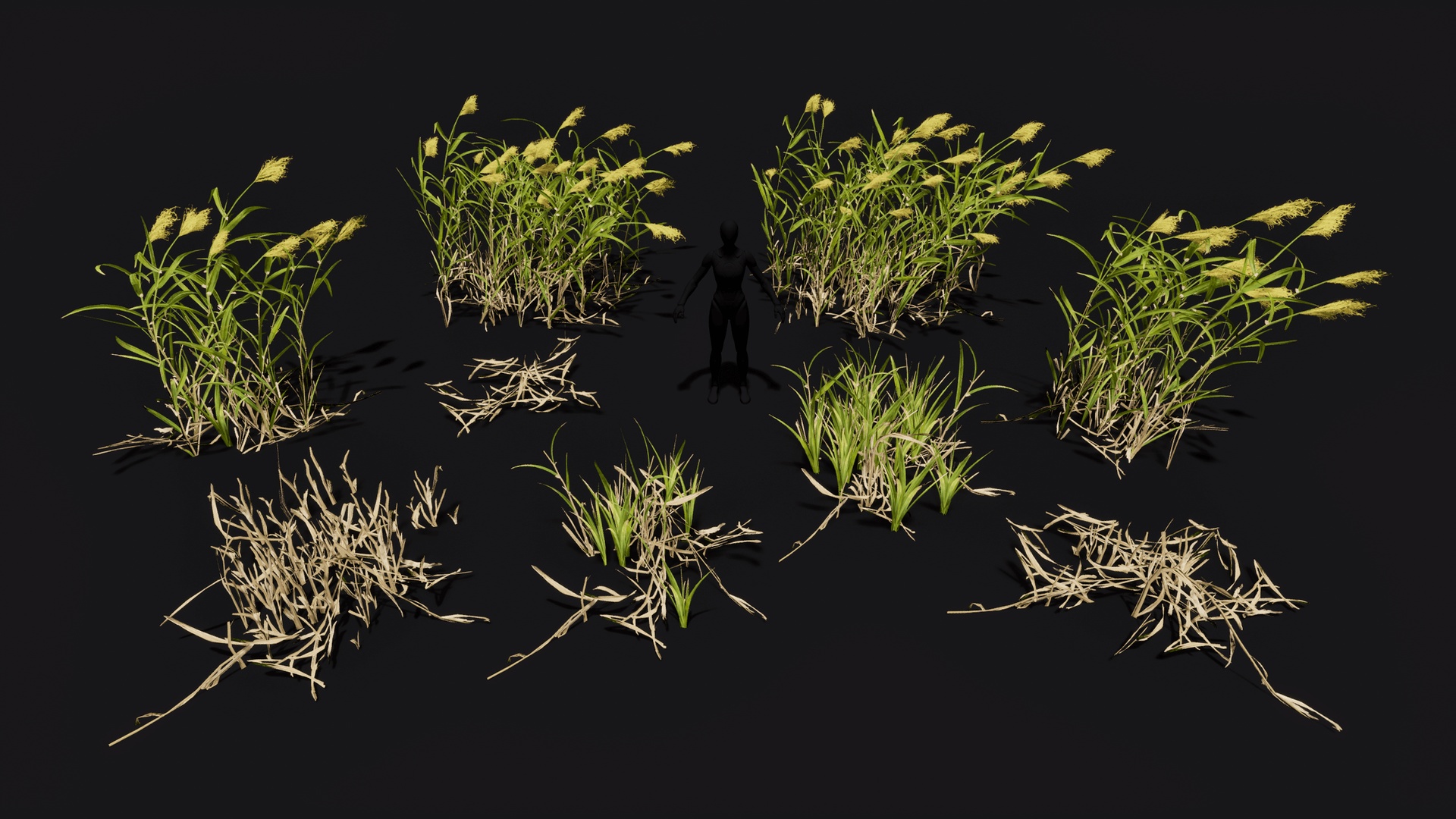Medium 1 für Eintrag Reeds shrubs low poly game ready set