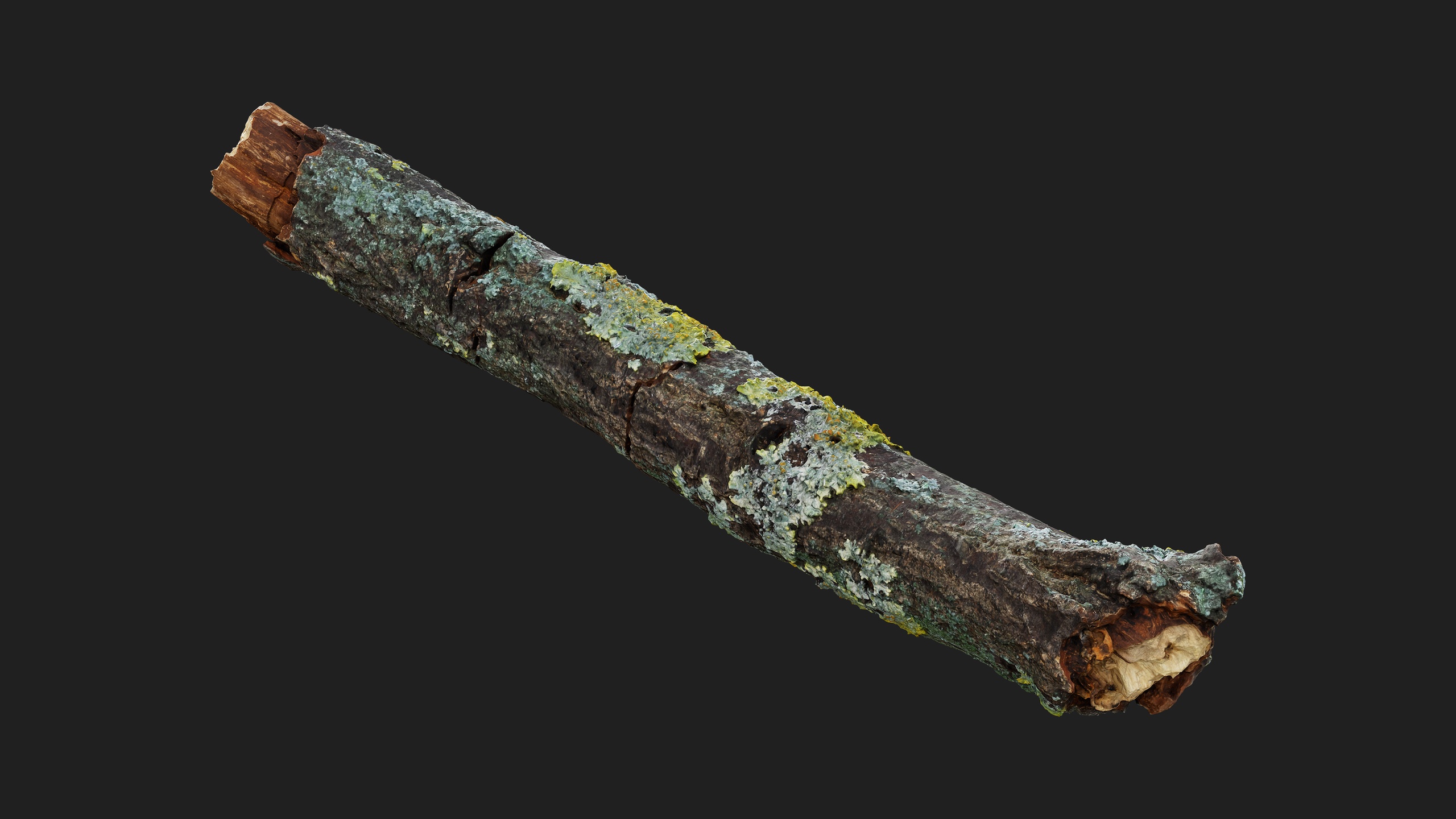 Media 1 for listing Tree Branch